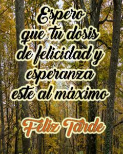 Imagenes De Buenas Tardes Bonitas Para Whatsapp Celular