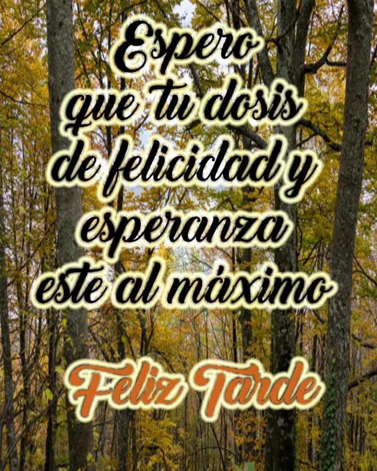 Imagenes De Buenas Tardes Bonitas Para Whatsapp Celular