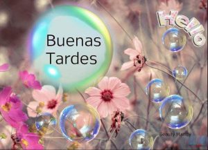 Imagenes De Buenas Tardes Con Flores Para Whatsapp Celular