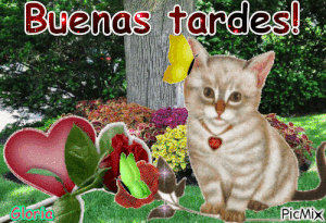 Imágenes de buenas tardes gif animadas