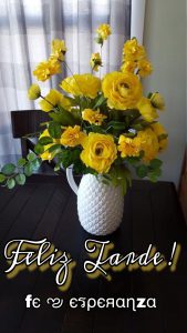 Imagenes De Buenas Tardes Graciosas Para Whatsapp Celular