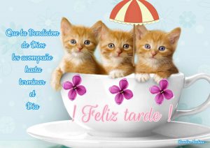 Imágenes de buenas tardes grupo para WhatsApp celular
