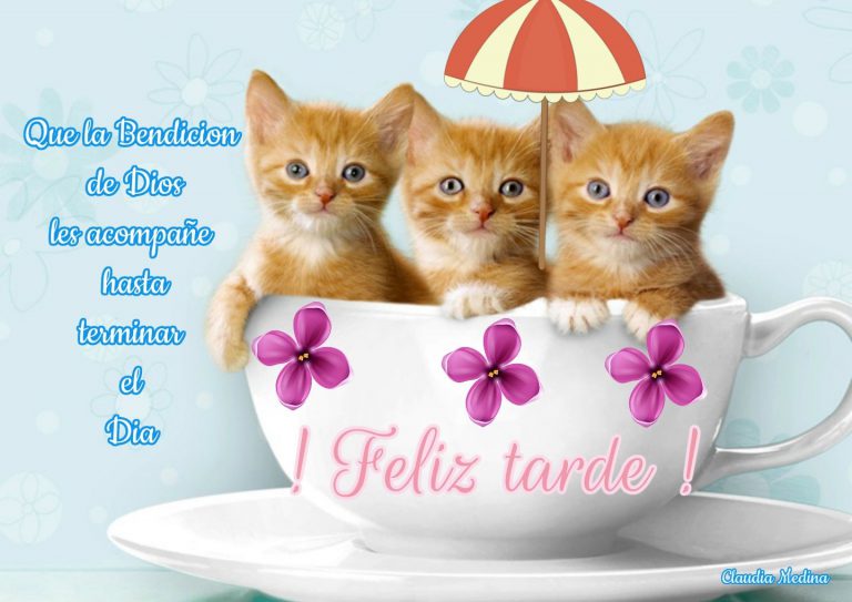 Imagenes De Buenas Tardes Grupo Para Whatsapp Celular