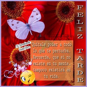 Imagenes De Buenas Tardes Para Mi Novio Para Whatsapp Celular