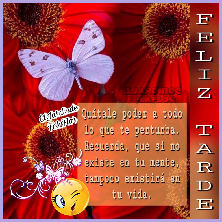 Imagenes De Buenas Tardes Para Mi Novio Para Whatsapp Celular