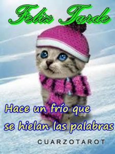 Imagenes De Buenas Tardes Viernes Para Whatsapp Celular