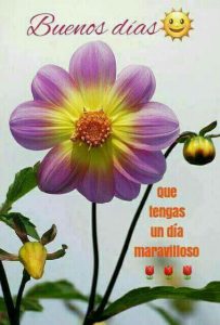 Imagenes De Buenos Dias A Todos