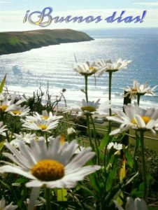 Imagenes De Buenos Dias A Tu Amor Para Descargar