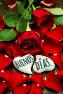 Imagenes De Buenos Dias A Un Amigo