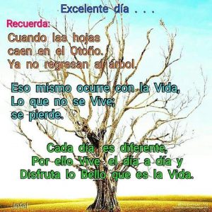 Imagenes De Buenos Dias Al Amor De Tu Vida Para Descargar