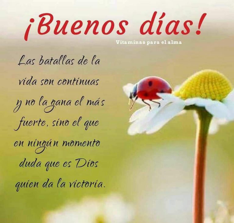 Imagenes De Buenos Dias Amor Con Frases Para Facebook