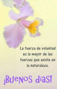 Imagenes De Buenos Dias Amor Con Frases Para Whatsapp