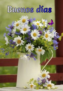 Imagenes De Buenos Dias Bonitas Amor Para Descargar