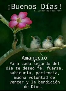 Imagenes De Buenos Dias Bonitas Amor Para Mi Amor