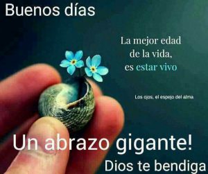 Imagenes De Buenos Dias Con Frases Bonitas