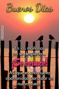 Imagenes De Buenos Dias Con Frases Romanticas Para Facebook