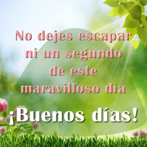 Imagenes De Buenos Dias Con Mensaje