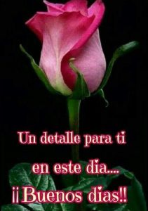 Imagenes De Buenos Dias Con Mensaje Para Facebook