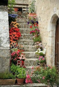 Imagenes De Buenos Dias Con Mensaje Para Whatsapp