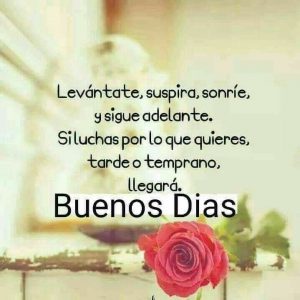 Imagenes De Buenos Dias Con Mensajes Bonitos Para Mi Amor