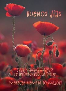 Imagenes De Buenos Dias Con Mensajes Bonitos Para Una Amiga
