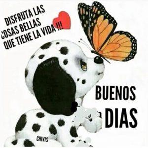 Imágenes de buenos días con mensajes bonitos para WhatsApp