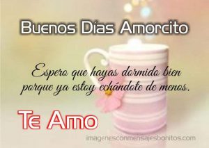Imagenes De Buenos Dias Con Mensajes De Amor Para Mi Amor
