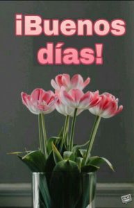 Imagenes De Buenos Dias Corazon Para Whatsapp