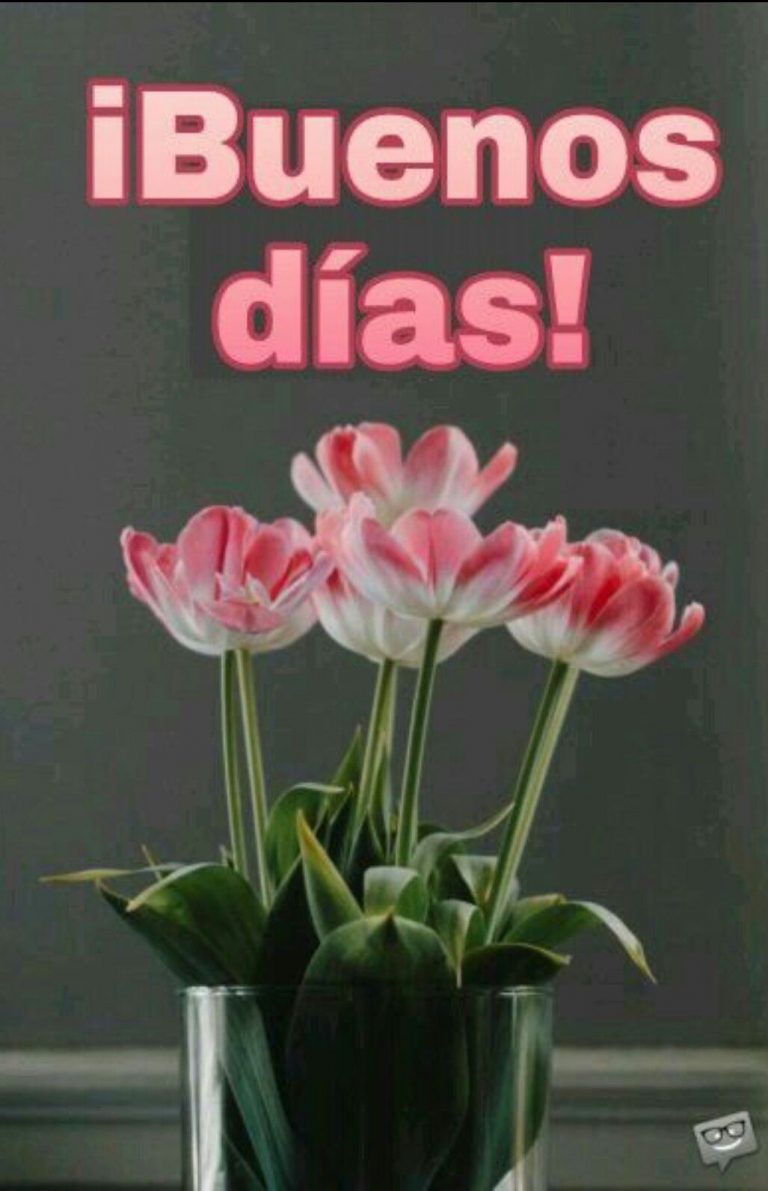 Imagenes De Buenos Dias Corazon Para Whatsapp