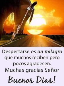 Imagenes De Buenos Dias De Amistad Para Celular