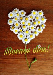 Imagenes De Buenos Dias De Dios Para Descargar