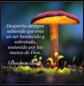 Imagenes De Buenos Dias De Enamorados