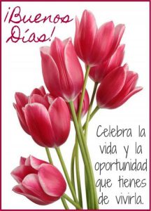 Imagenes De Buenos Dias De Enamorados Para Celular