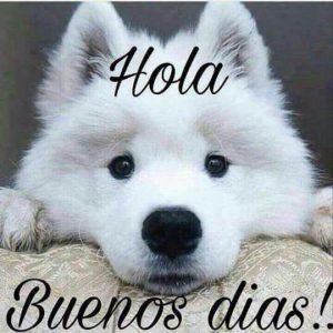 Imagenes De Buenos Dias De Enamorados Para Facebook