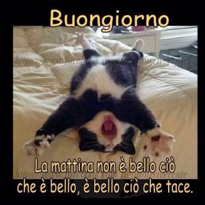 Imagenes De Buenos Dias De Enamorados Para Whatsapp