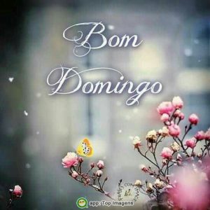 Imagenes De Buenos Dias Del Domingo Para Celular