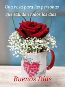 Imagenes De Buenos Dias En Frances Para Celular