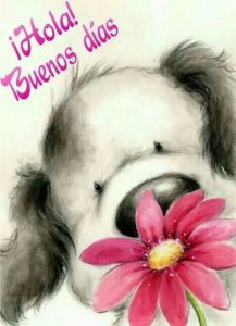 Imagenes De Buenos Dias En Frances Para Una Amiga