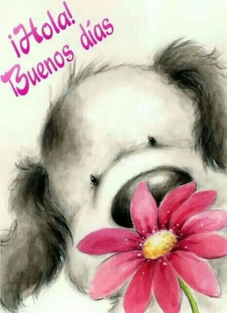 Imagenes De Buenos Dias En Frances Para Una Amiga