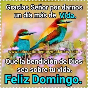 Imágenes de buenos días es domingo para celular