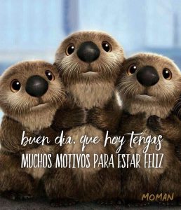 Imagenes De Buenos Dias Especiales Para Celular