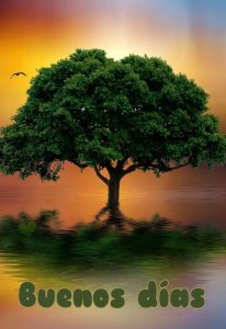Imagenes De Buenos Dias Especiales Para Descargar