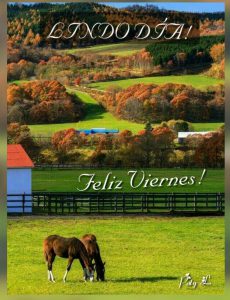 Imagenes De Buenos Dias Feliz