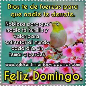 Imagenes De Buenos Dias Feliz Domingo Para Celular