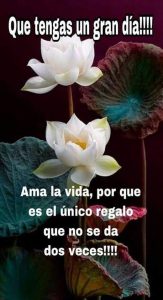 Imagenes De Buenos Dias Feliz Para Celular