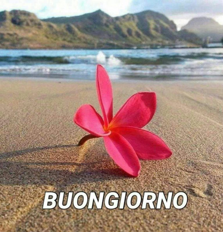 Imagenes De Buenos Dias Mi Corazon Para Facebook