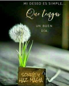 Imagenes De Buenos Dias Mi Vida Para Celular