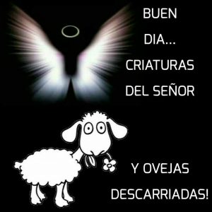 Imagenes De Buenos Dias Nuevas