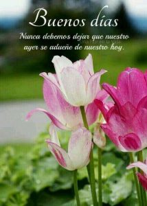 Imagenes De Buenos Dias Nuevas Para Celular