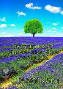 Imagenes De Buenos Dias Nuevas Para Descargar